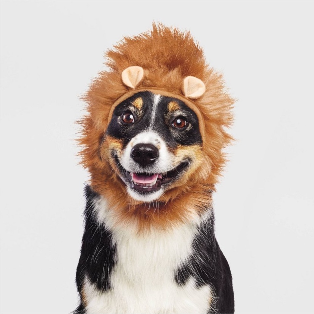 NWOT Hyde & EEK!Boutique Halloween Lion cat & dog hat (headwear)